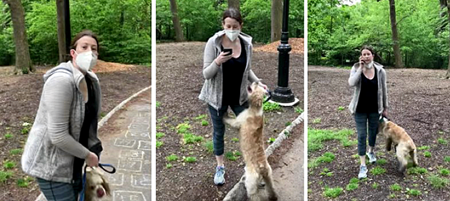 There Are Teachers Out There Right Now Causing Real Harm to Black and Brown Students