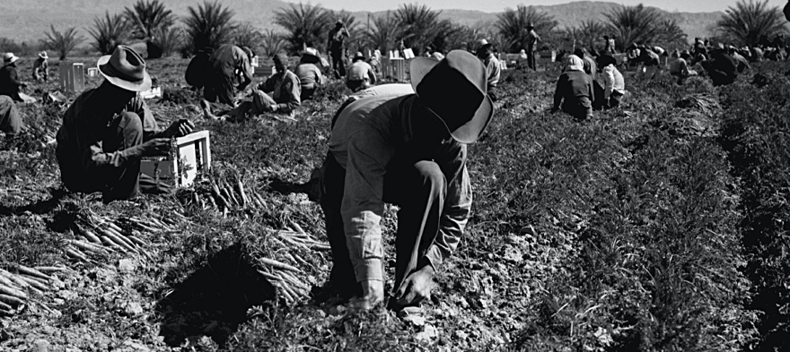 My Family Went From Migrant Workers to Middle Class in a Generation by Making Education a Priority