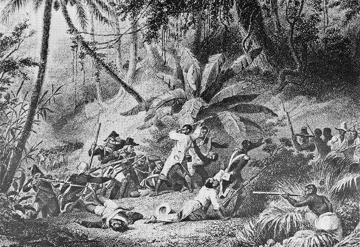 A depiction of the Haitian revolution